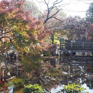 大山緑地 4枚目