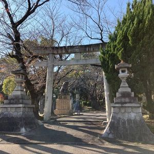 大山緑地 6枚目