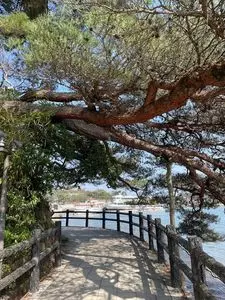 奥松島遊覧船