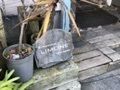 たかさんの幸せごはん|京都ときどき関西グルメさんが投稿したシンパティカリモーネ（simpatica LIMONE）に関する口コミの画像