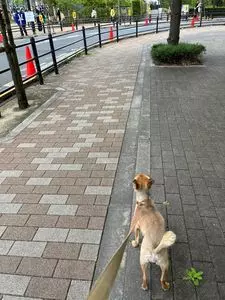 有明アリーナ