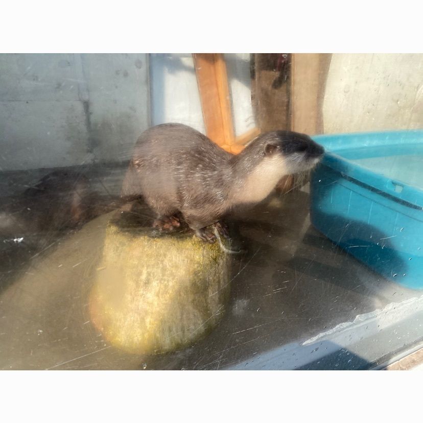 ✌️さんが投稿した鮮味楽に関する口コミの画像