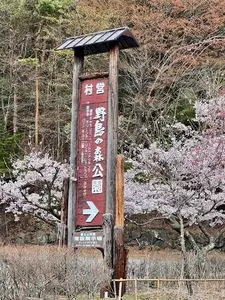 青木ヶ原樹海遊歩道