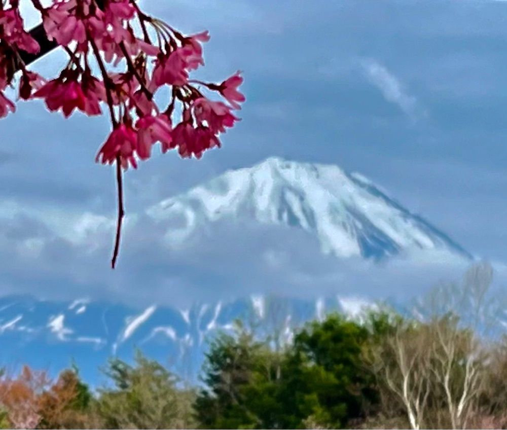 ビンカさんが投稿した青木ヶ原樹海遊歩道に関する口コミの画像