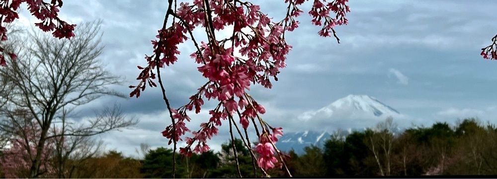 ビンカさんが投稿した青木ヶ原樹海遊歩道に関する口コミの画像