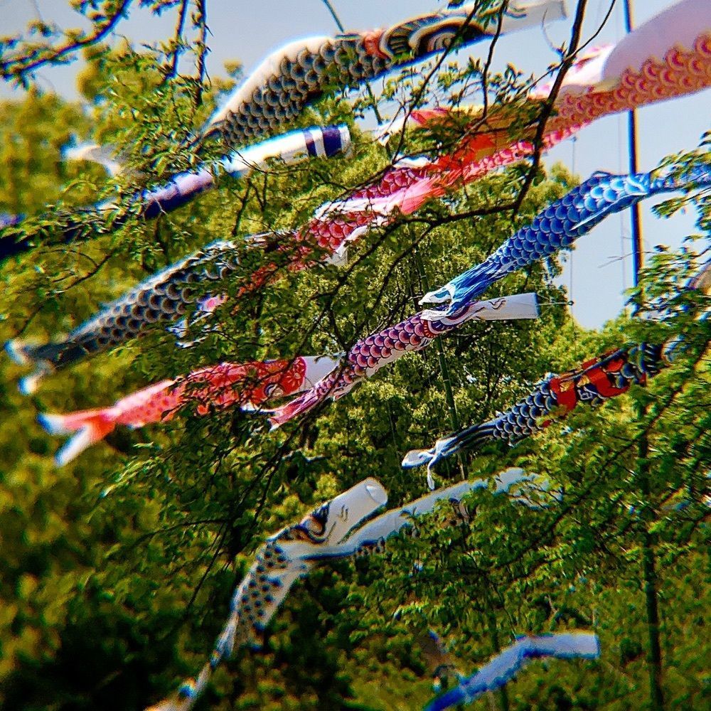 兎きちさんが投稿した早水公園に関する口コミの画像
