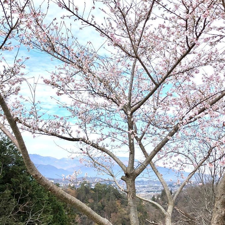 💧- ma - 🍀 - ka -💧さんが投稿した画像の画像
