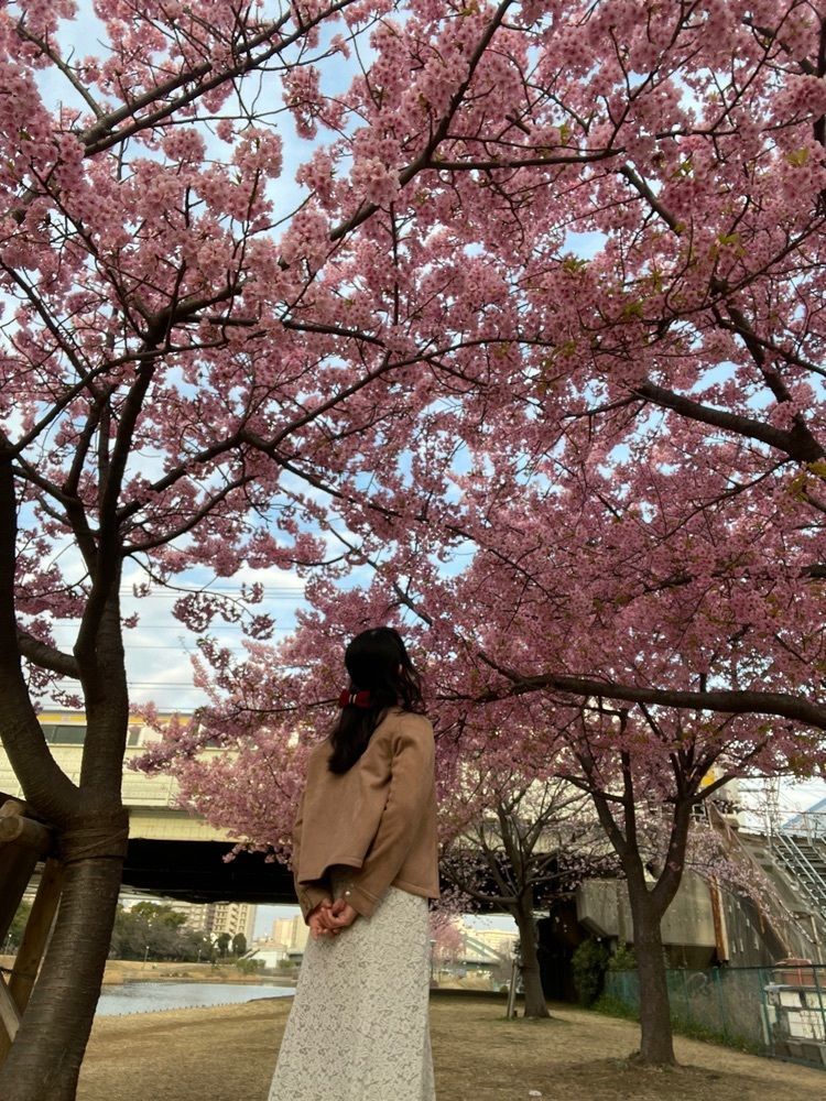 みかんさんが投稿した平井駅に関する口コミの画像
