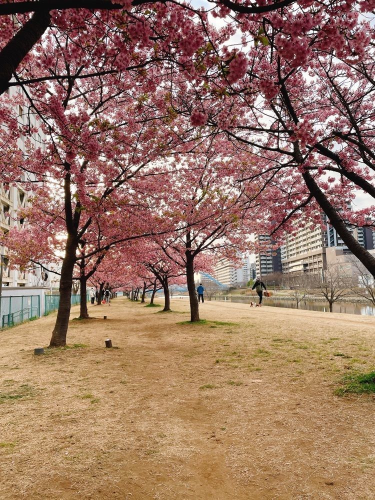 みかんさんが投稿した平井駅に関する口コミの画像