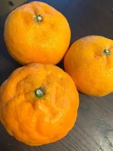 唐津ふるさと会館アルピノ