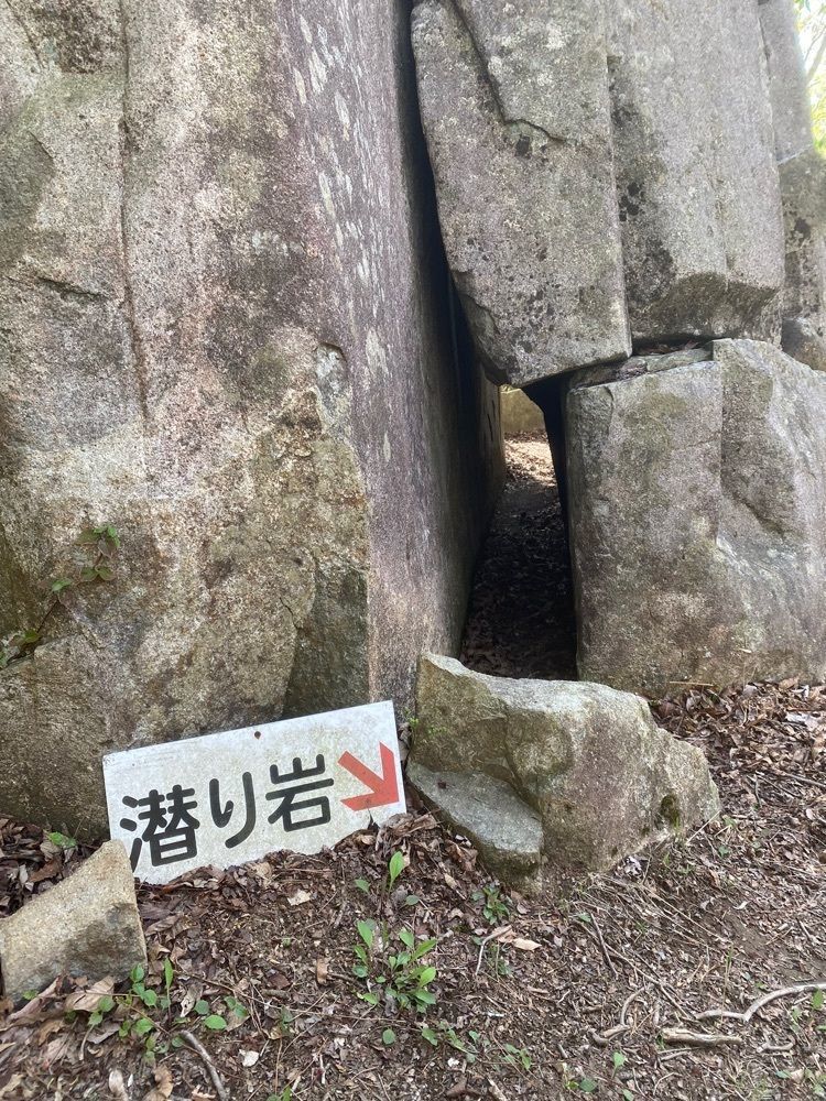 あるふぃすたさんが投稿した大土山に関する口コミの画像