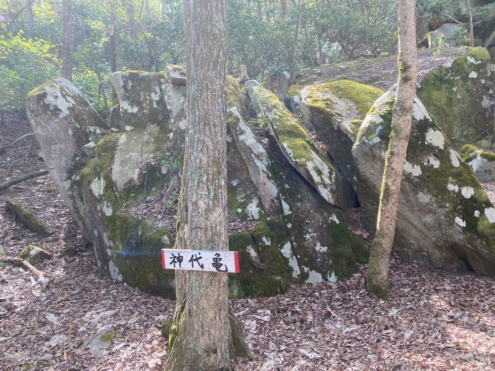 あるふぃすたさんが投稿した大土山に関する口コミの画像