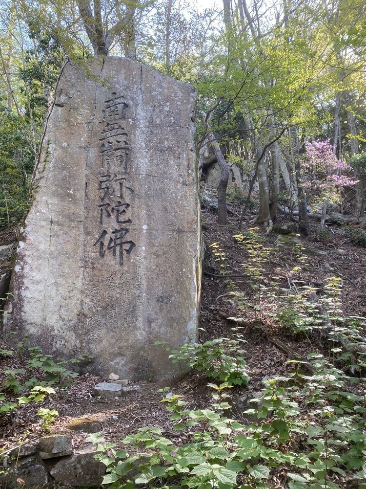 あるふぃすたさんが投稿した大土山に関する口コミの画像