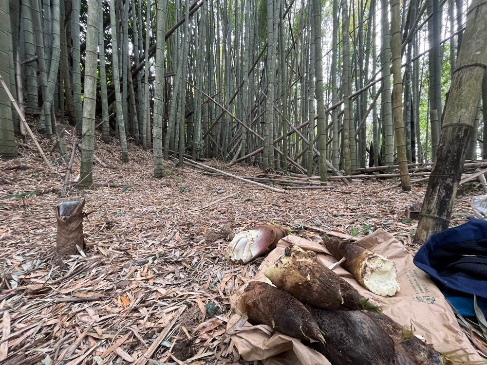 ハルさんが投稿した勝浦つるんつるん温泉に関する口コミの画像