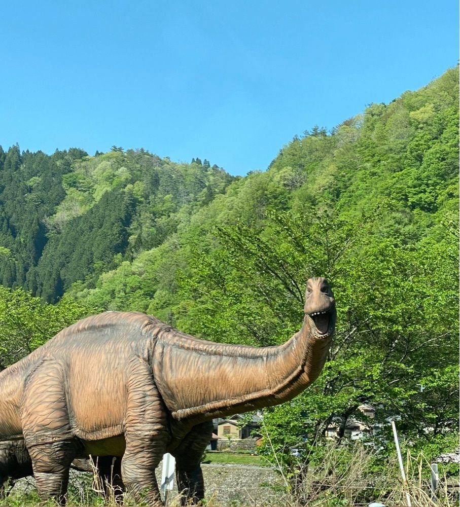 Annashuna0830さんが投稿した郡上大和駅に関する口コミの画像