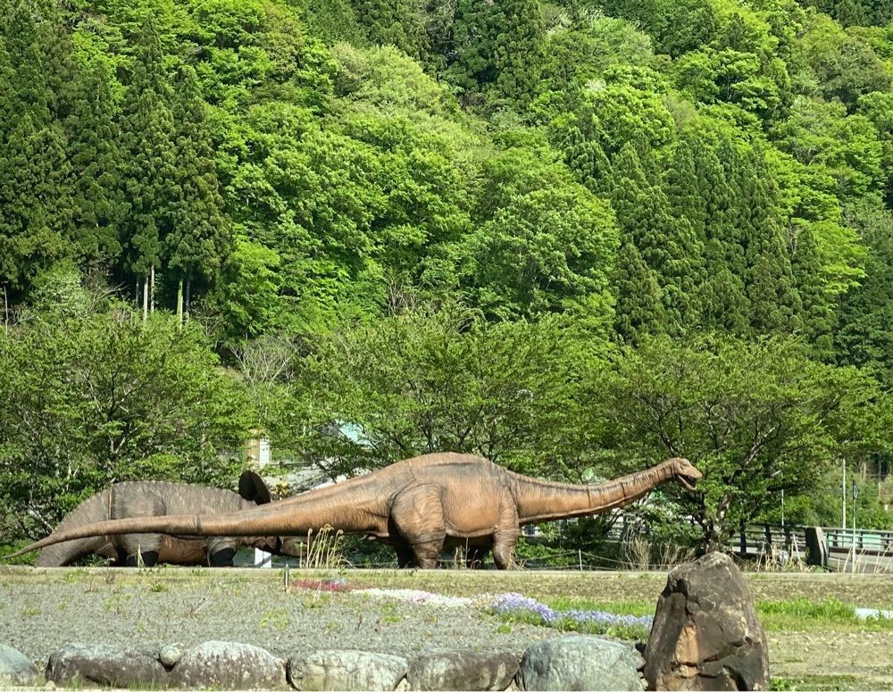 Annashuna0830さんが投稿した郡上大和駅に関する口コミの画像