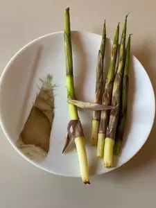 ひるがの高原リゾート翠峯苑