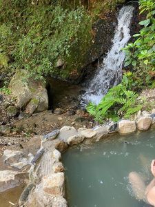 亀正くるくる寿司(かめしょう) 2枚目