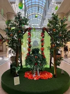 ディアモール大阪