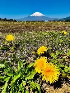 リトリート農家民宿このはな