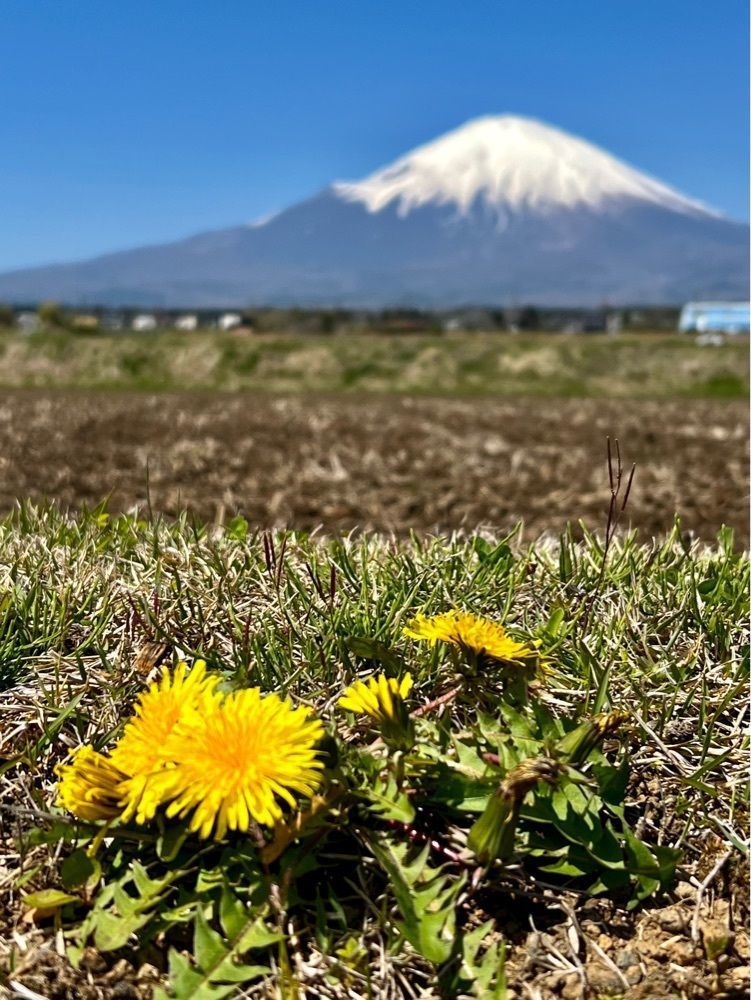 ビンカさんが投稿したリトリート農家民宿このはなに関する口コミの画像