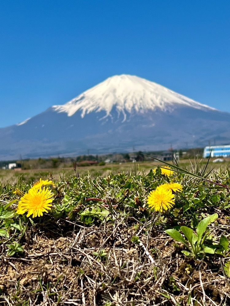 ビンカさんが投稿したリトリート農家民宿このはなに関する口コミの画像