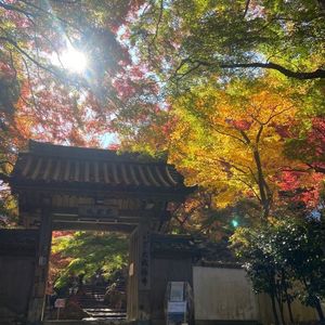 牛滝山大威徳寺