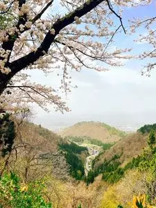 若松寺
