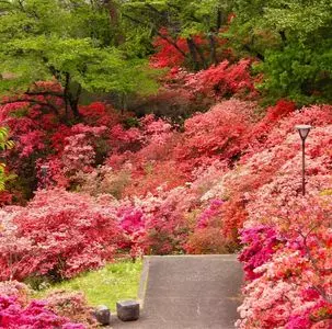 長峰公園（栃木県矢板市）