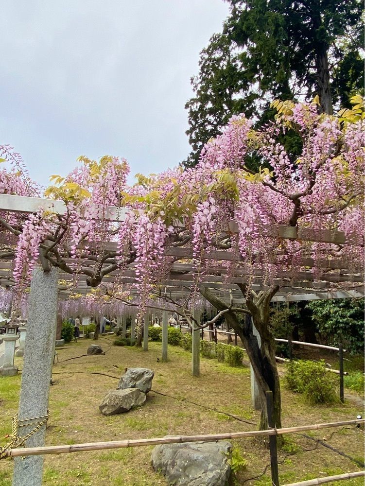 NBR OTさんが投稿した三大神社に関する口コミの画像