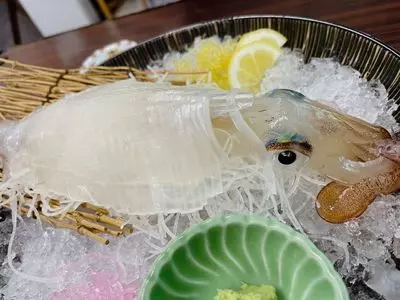 おおしき