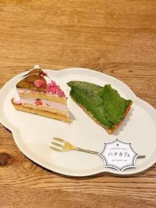 ハチカフェ 阿佐ヶ谷店（8）
