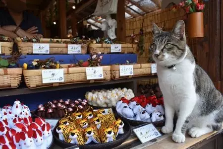 本家 叶屋 大内宿