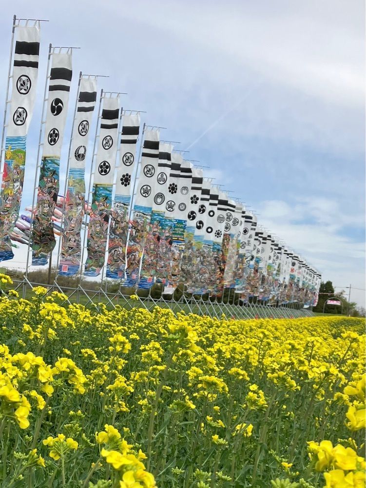 momochiさんが投稿した那須アルパカ牧場に関する口コミの画像