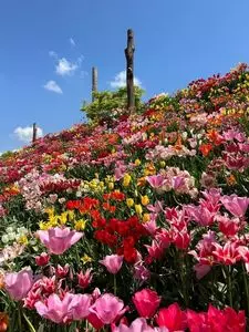 チューリップ四季彩館