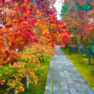 由比正雪首塚 2枚目