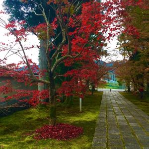 由比正雪首塚 3枚目