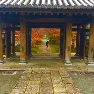 由比正雪首塚 5枚目