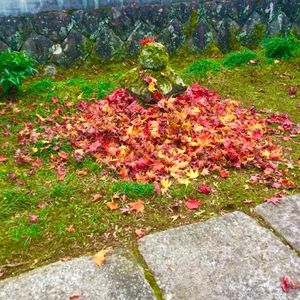 由比正雪首塚 7枚目