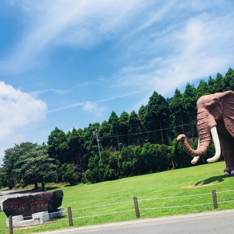 #大分県 #宇佐市 #アフリカンサファリ #フォトジェニック