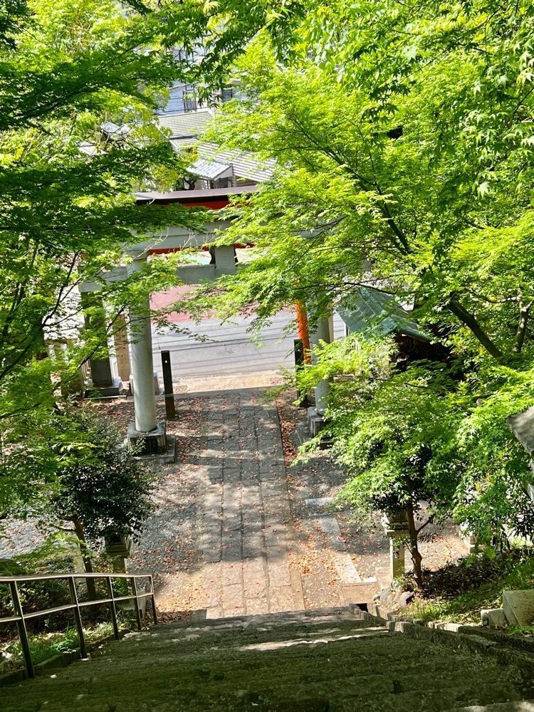 ビンカさんが投稿した台湾料理 福亭 中井店に関する口コミの画像