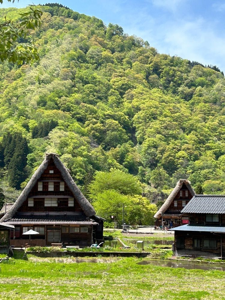 jun1216さんが投稿したあらいに関する口コミの画像