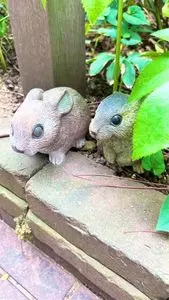 薔薇の小径