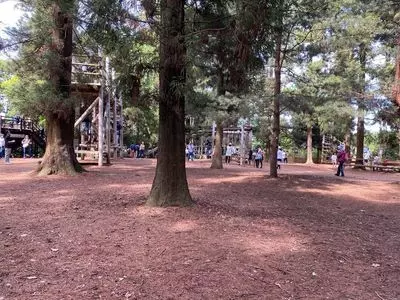 清水公園フィールドアスレチック