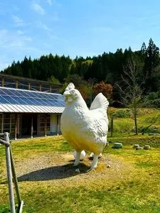 尼湯