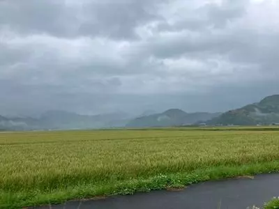 こはるうどん