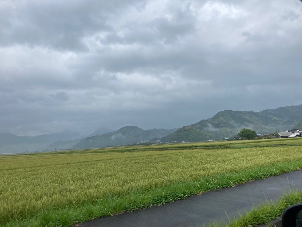 Howl Monさんが投稿したこはるうどんに関する口コミの画像