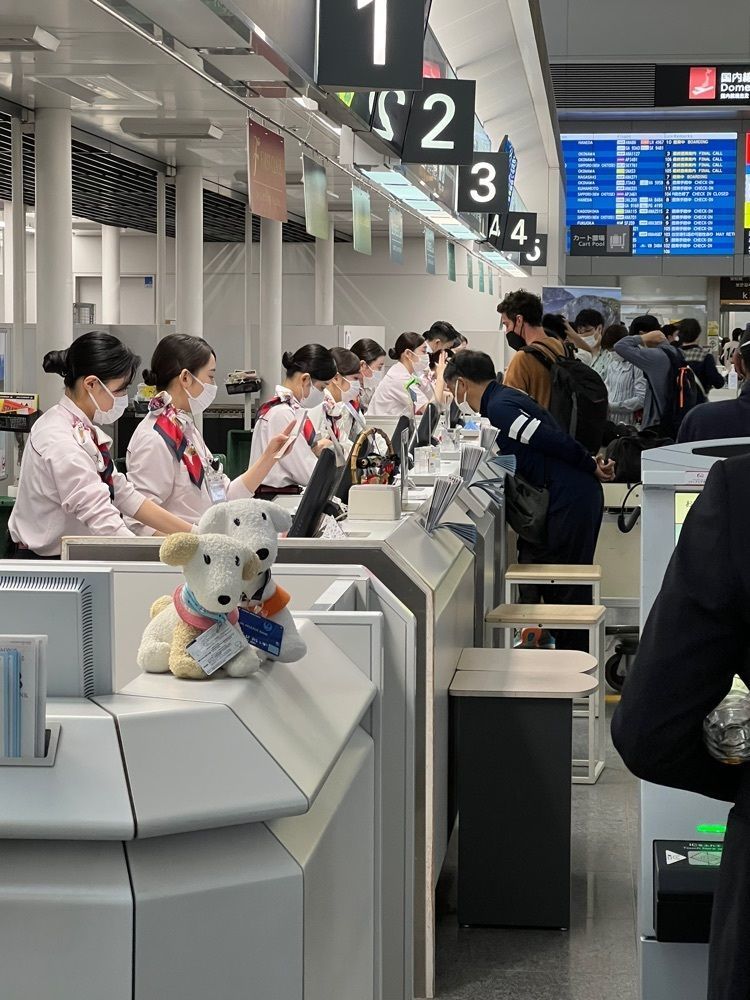 soccer kozou さんが投稿した中部国際空港セントレア案内所に関する口コミの画像