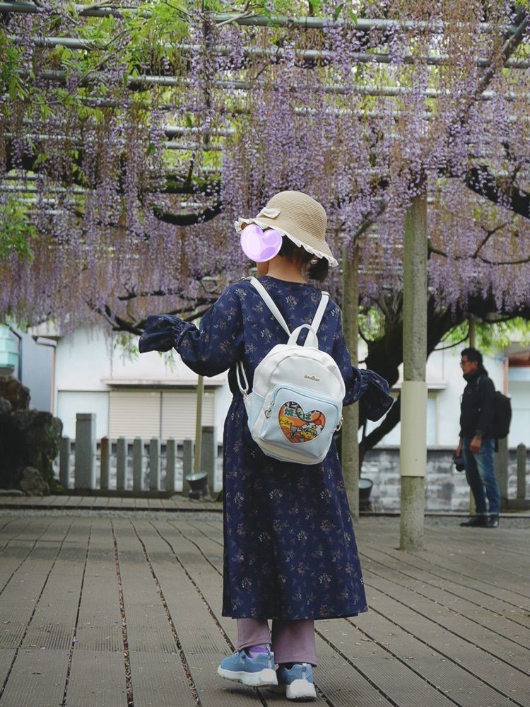 フラミンゴさんが投稿した大歳神社の千年藤に関する口コミの画像