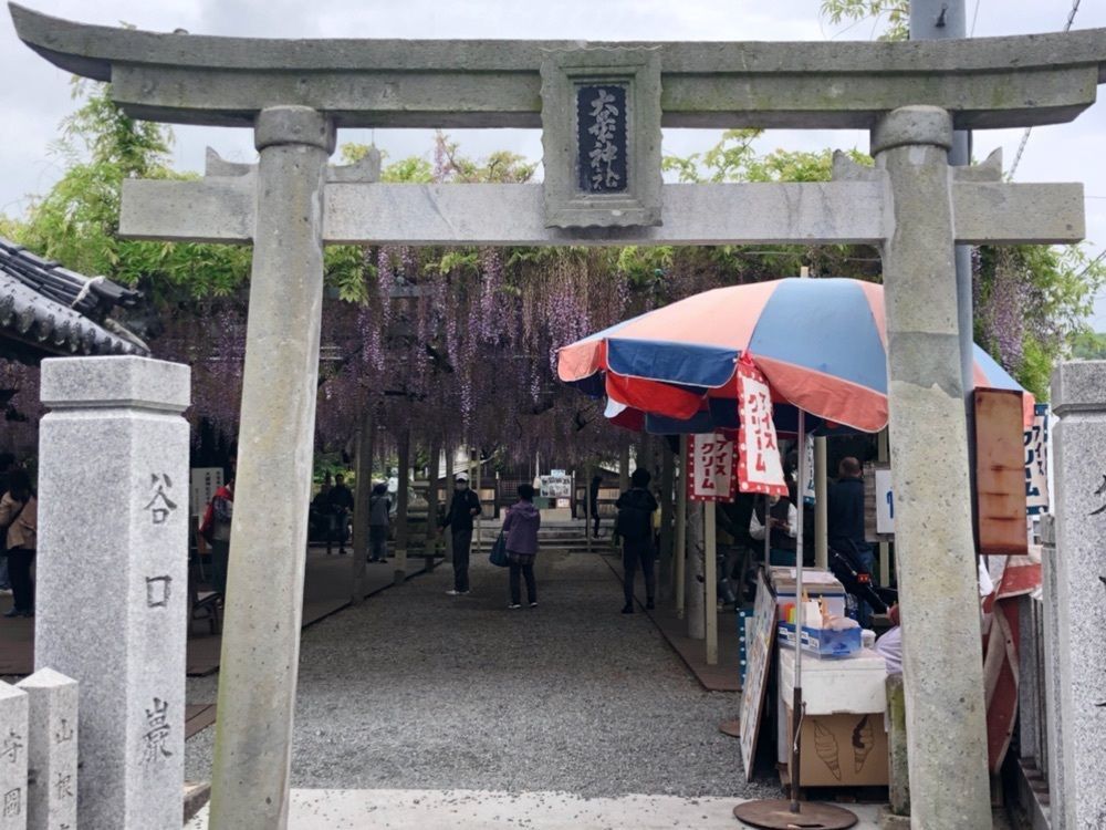 フラミンゴさんが投稿した大歳神社の千年藤に関する口コミの画像
